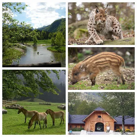 Semesterbostad Traunsteinblick