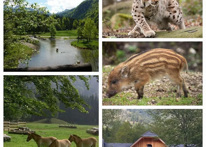 Tatil Evi Traunsteinblick